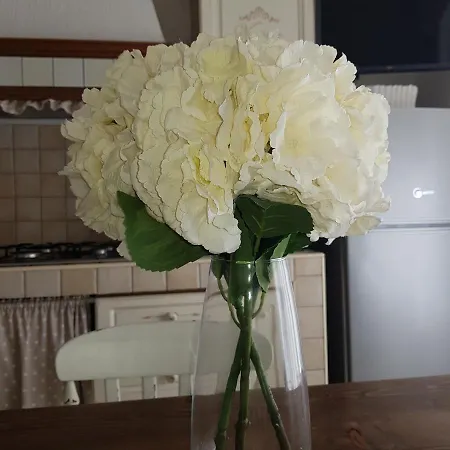 Apartmán Vintage Zona Ospedale Sassari